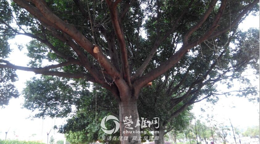QQ图片20150729163556.jpg