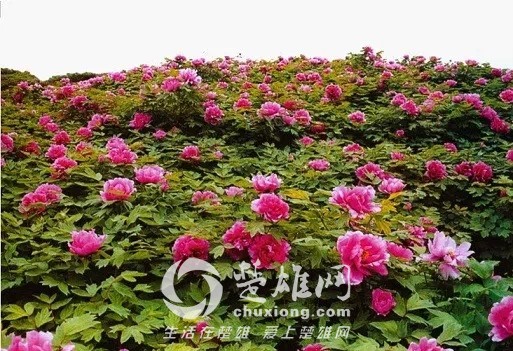 640.webp (13).jpg