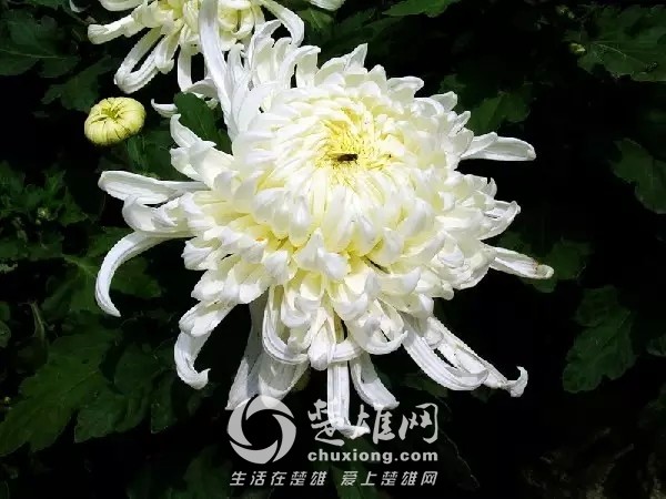 640.webp (14).jpg