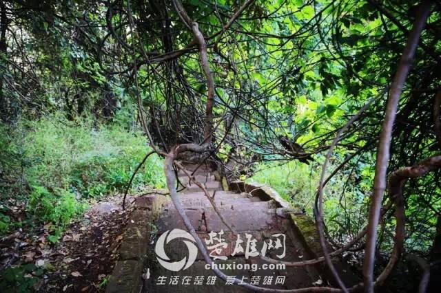 640.webp (27).jpg