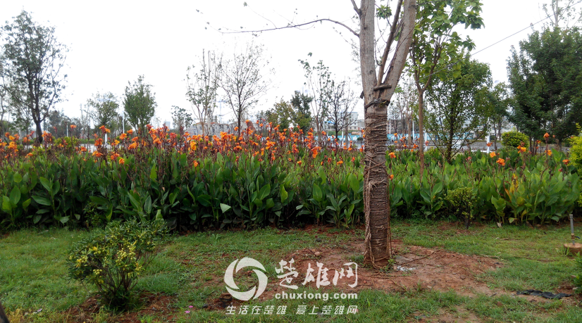 QQ图片20150730144650.png