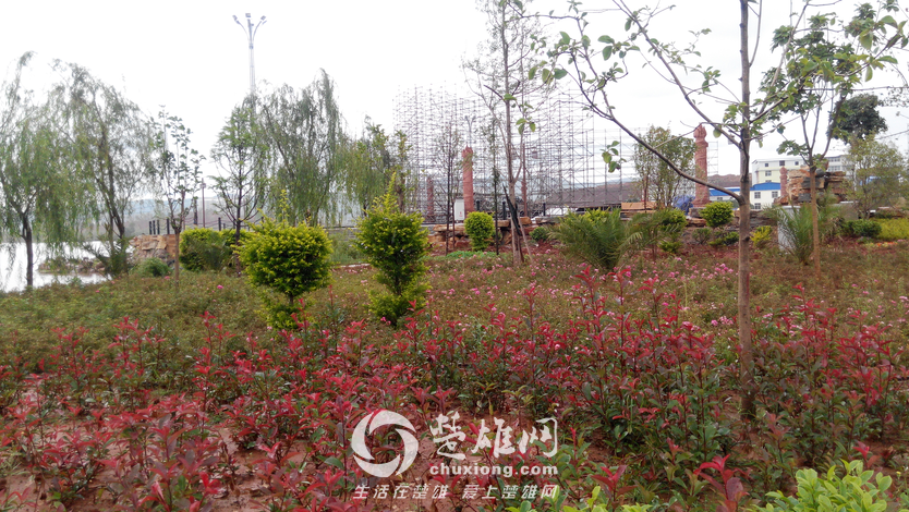 QQ图片20150730144810.png