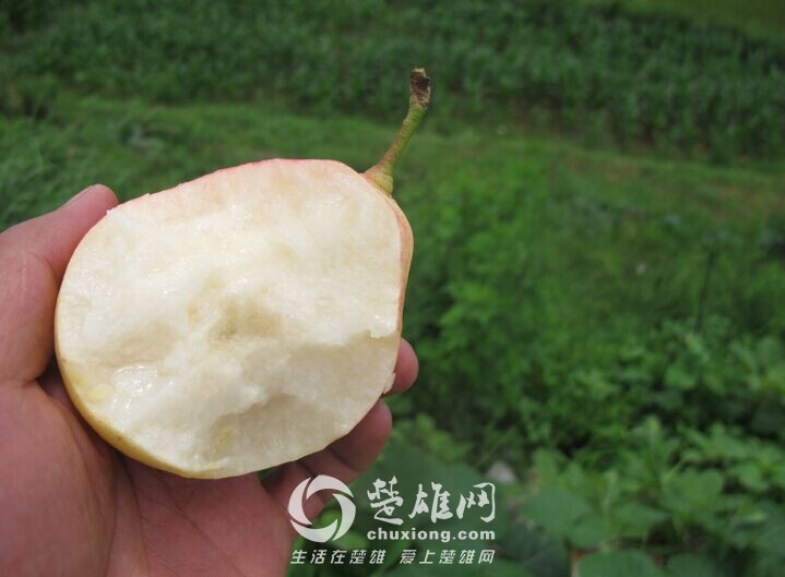 QQ图片20150819143600.jpg