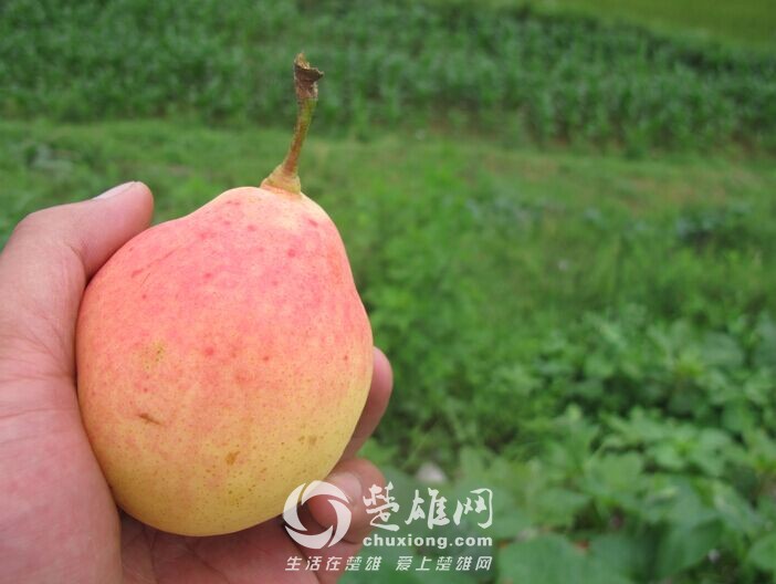 QQ图片20150819143545.jpg