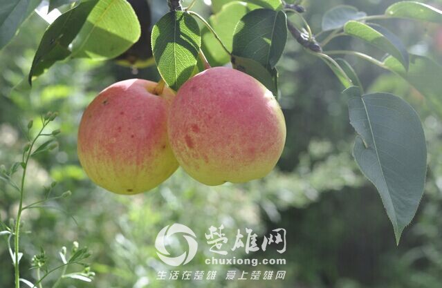 QQ图片20150819143221.jpg