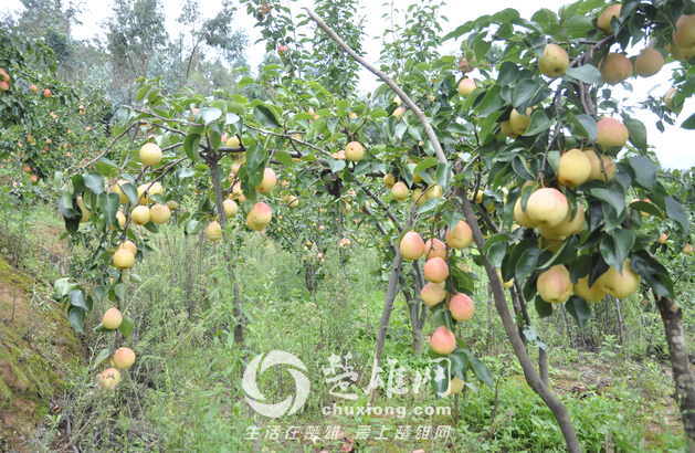 QQ图片20150819143426.png