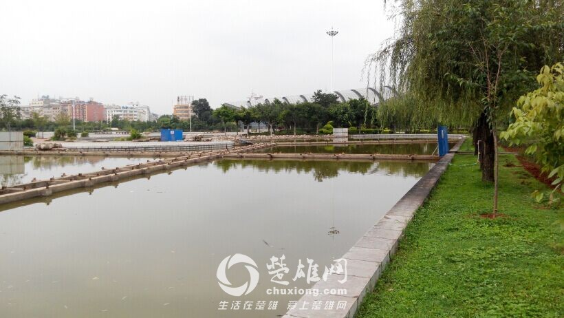 QQ图片20150820165004.jpg