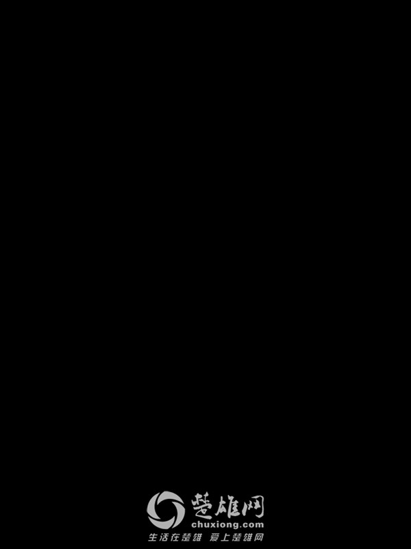 45460