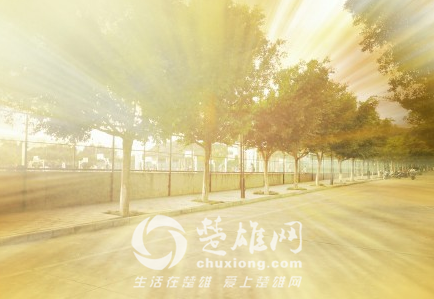 QQ图片20151008154302.png