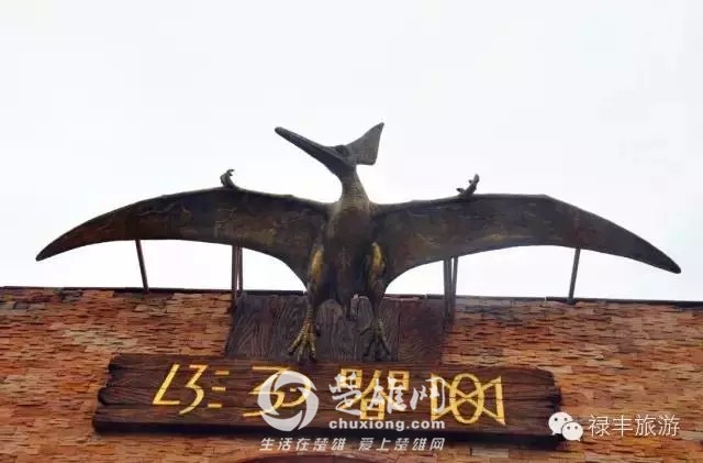 640.webp (2).jpg