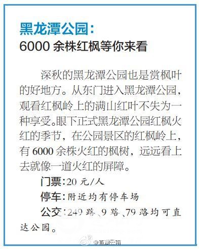 9dec7c91gw1exec0hew94j20ax0dnaau.jpg