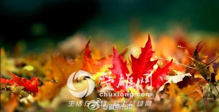 9dec7c91gw1exec0k185bj20ne0c0q3x.jpg