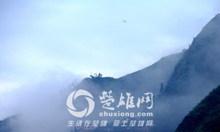 QQ图片20151027145453.png