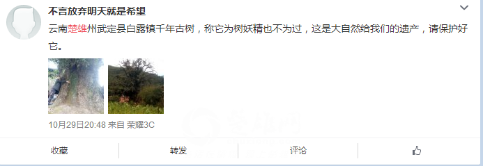 QQ图片20151030094032.png