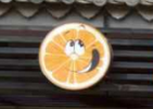 QQ截图20151030164954.png