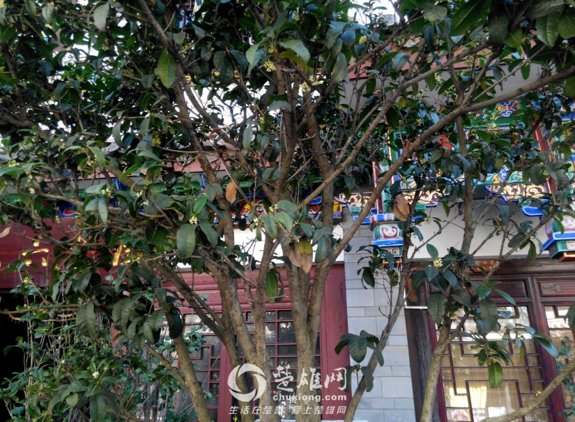 QQ图片20151029153410.png