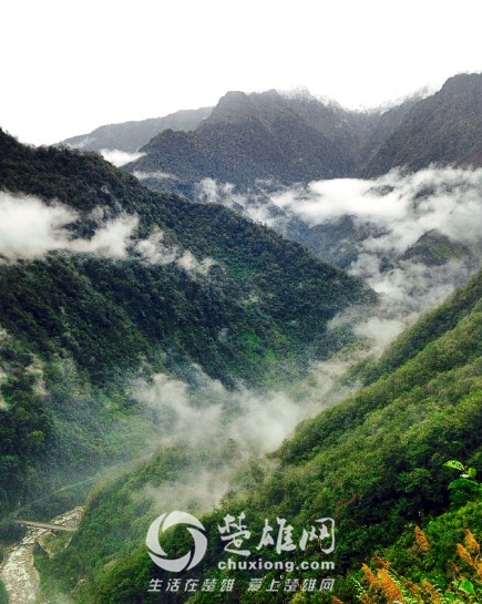 QQ图片20151109172837.png