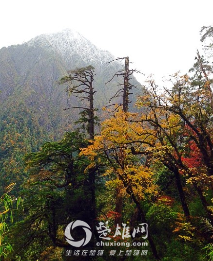 QQ图片20151109172920.png