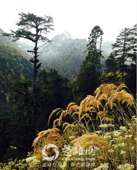 QQ图片20151109172932.png