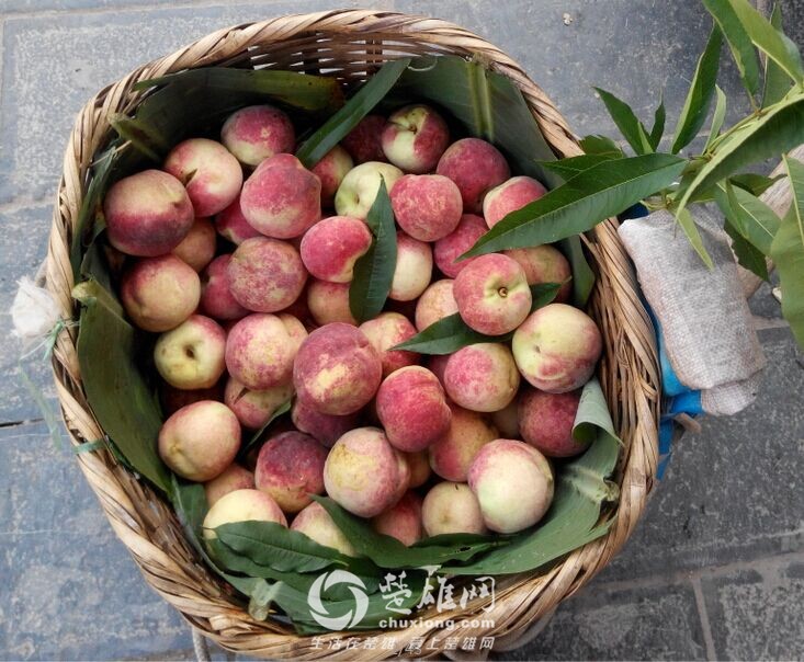 QQ图片20151117154827.jpg