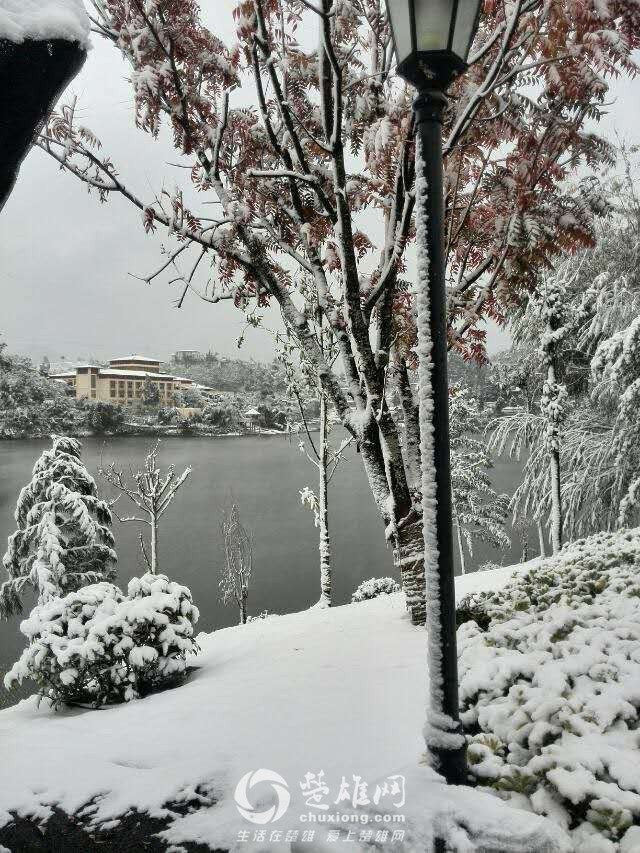 楚雄网_20151217_231847.jpg