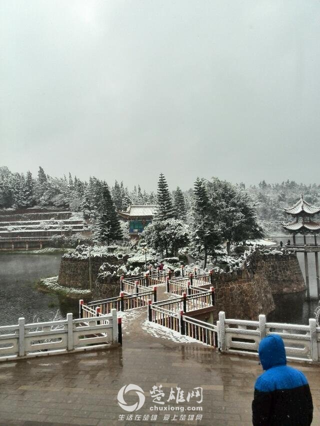 楚雄网_20151217_231856.jpg