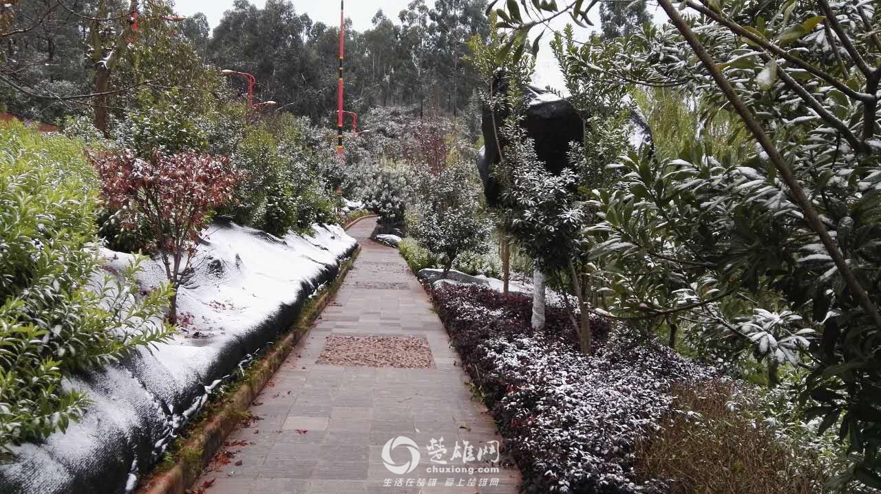 楚雄网_20151219_001228.jpg