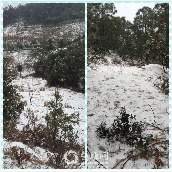 紫溪山雪景.jpg
