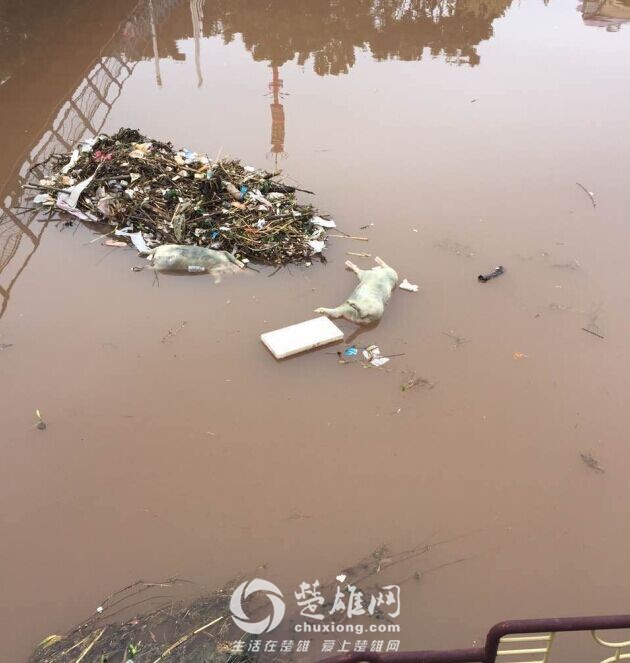 QQ图片20160126151836.jpg