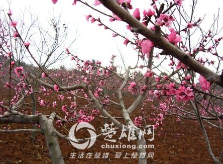 035c3245eb3244bd9cc8b50bdda8e9af.jpg