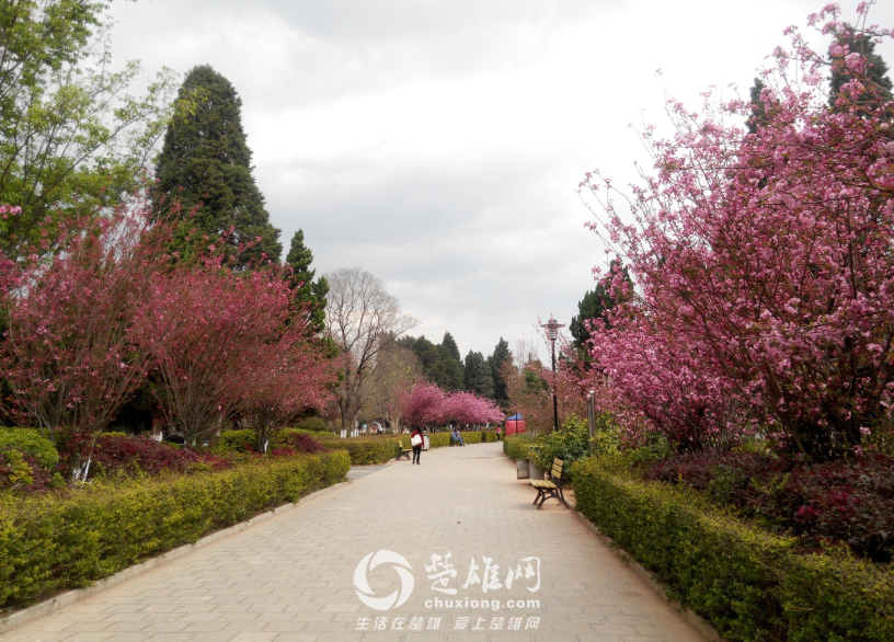 QQ图片20160311141243.png