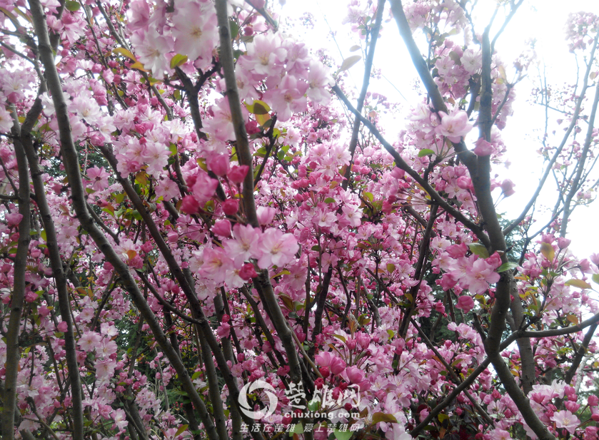 QQ图片20160311141209.png
