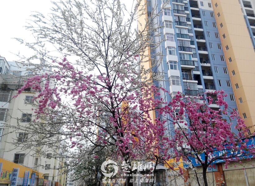QQ图片20160311141301.jpg