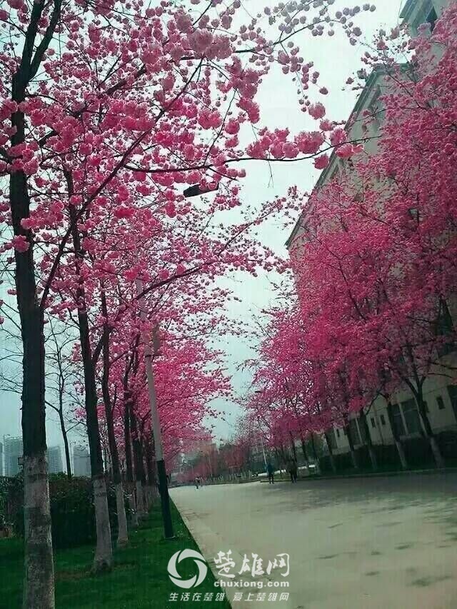 QQ图片20160311114450.jpg