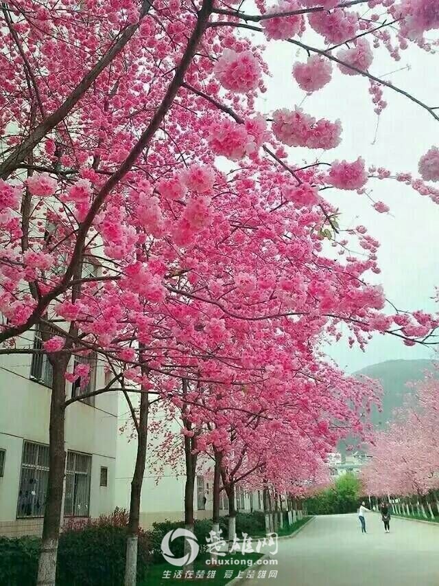 QQ图片20160311114441.jpg