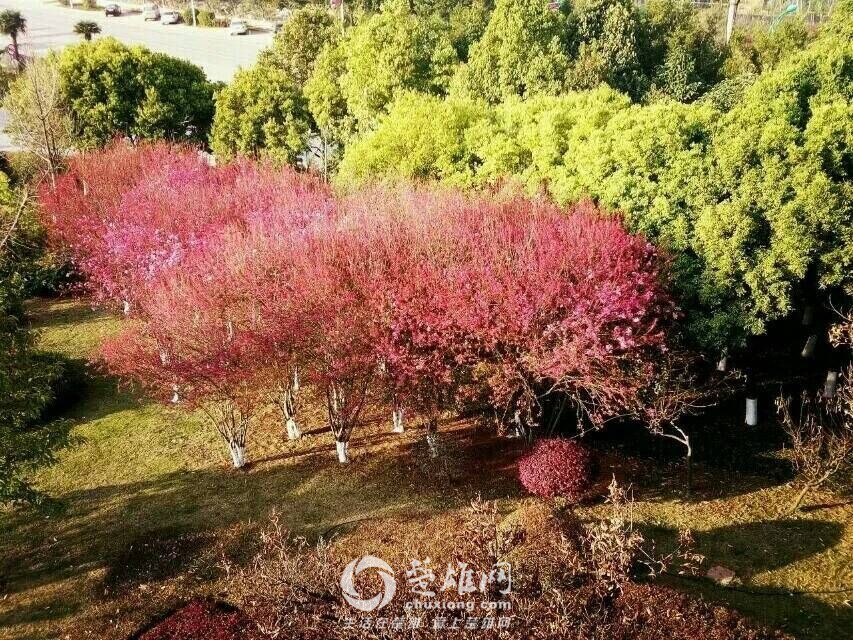 QQ图片20160311142655.jpg