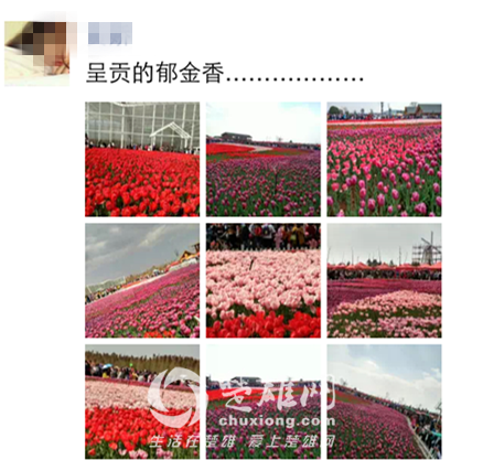 IMG_2808_副本.png