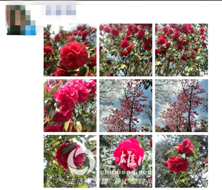 IMG_2809_副本.png