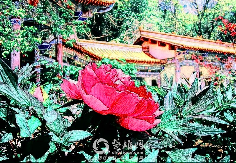 QQ图片20150309152043_看图王_副本.jpg