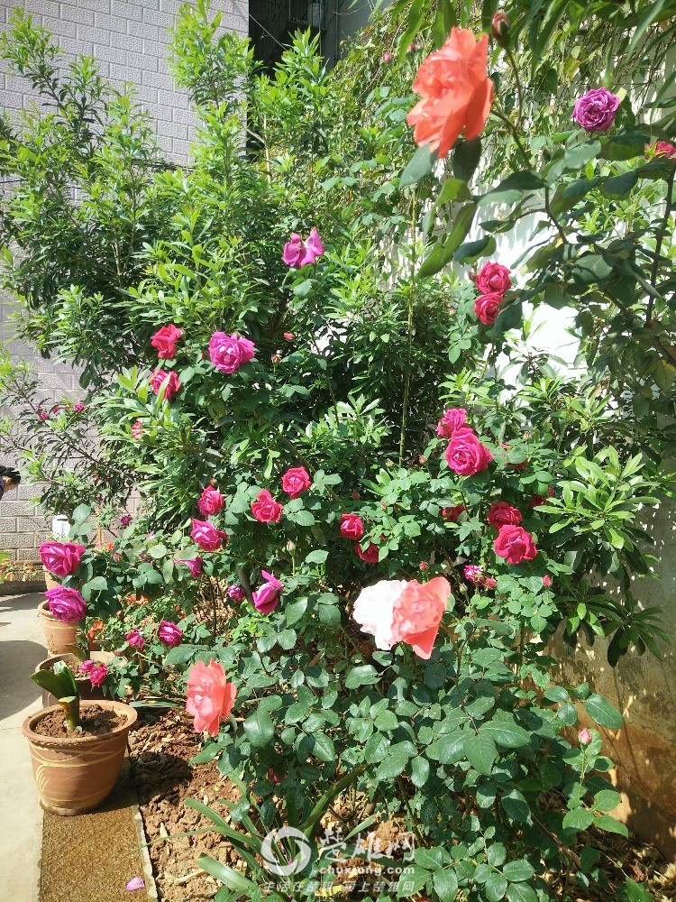 IMG20160411104304.jpg