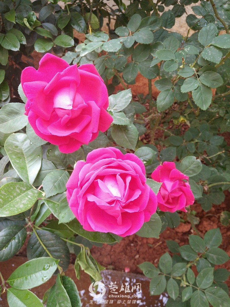 IMG20160411103445.jpg