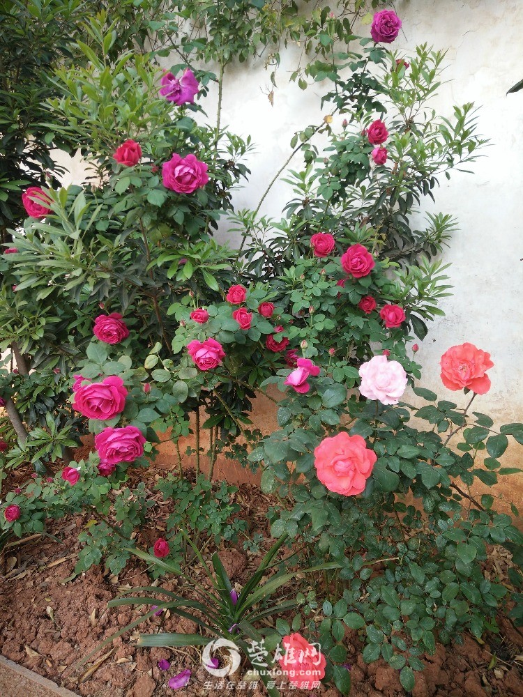 IMG20160411083346.jpg