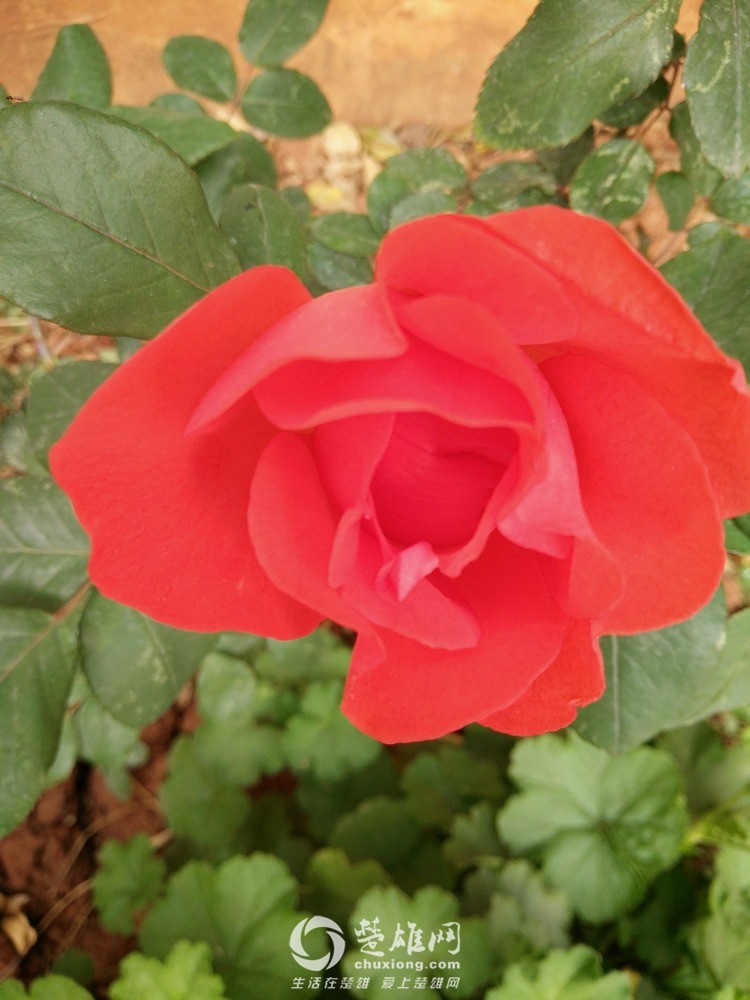 IMG20160408180526.jpg