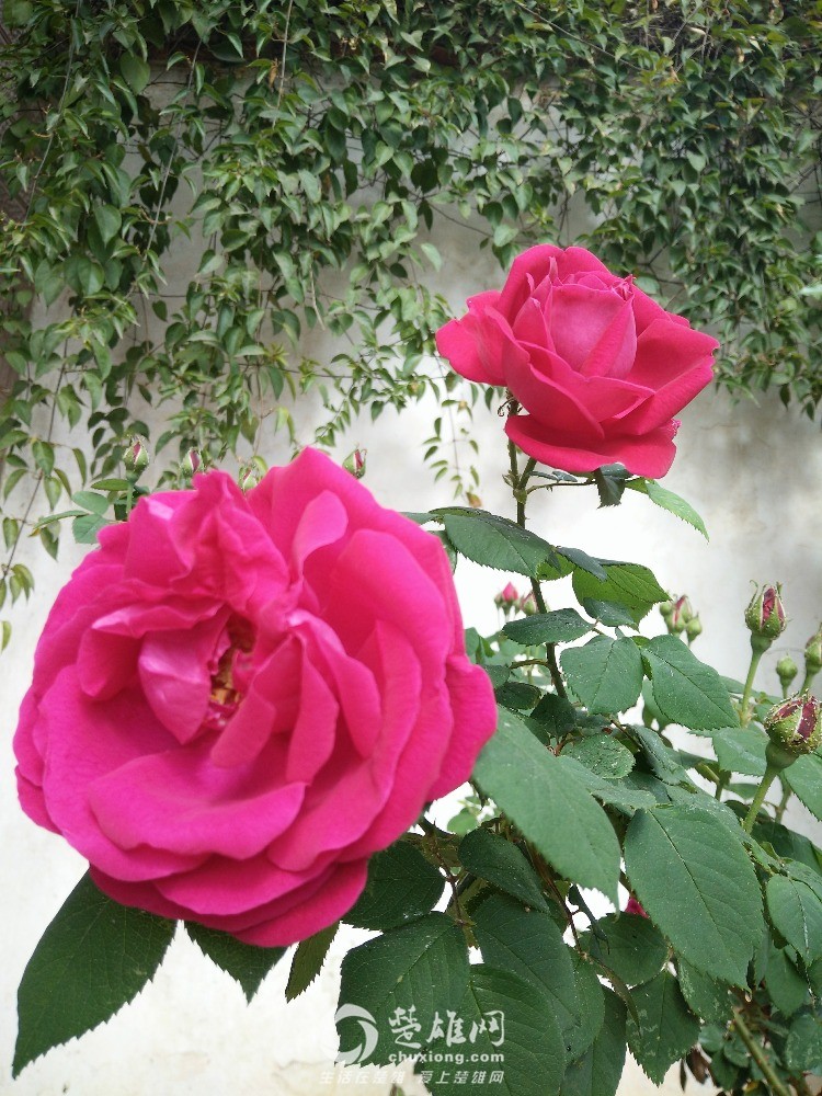 IMG20160406102708.jpg