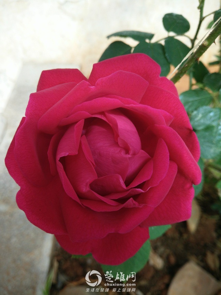 IMG20160406102656.jpg
