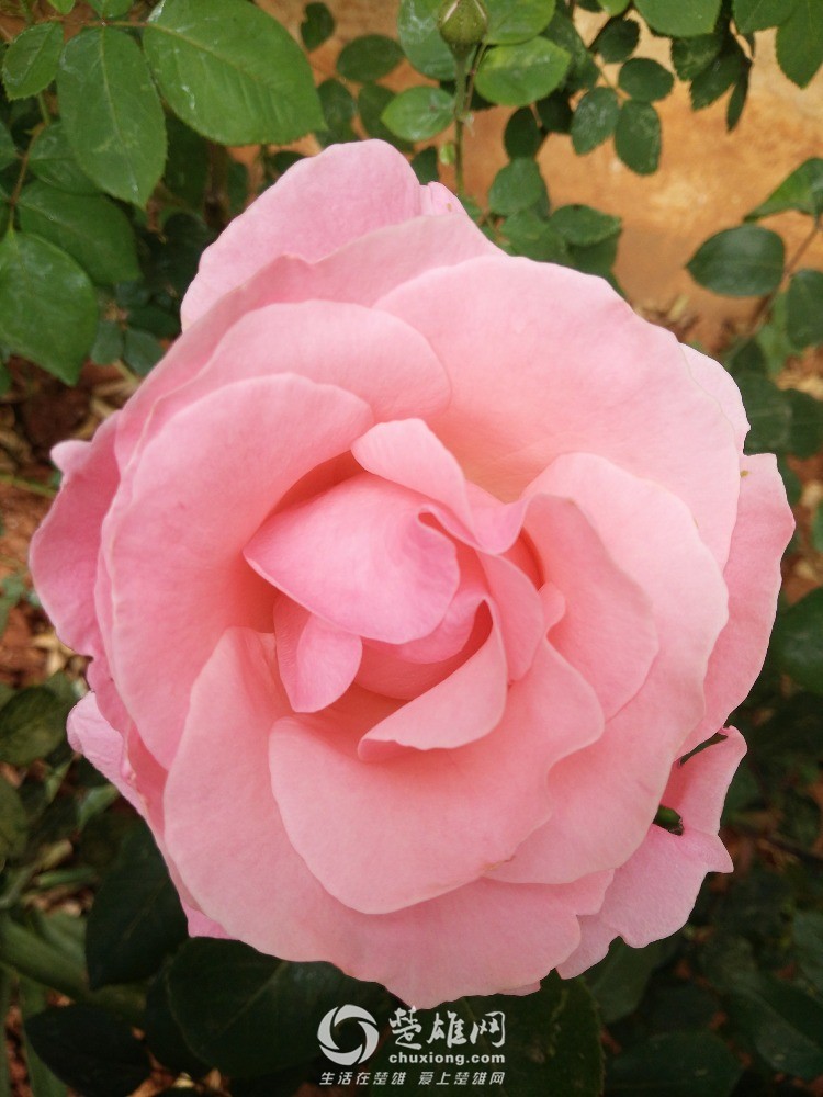 IMG20160406102749.jpg