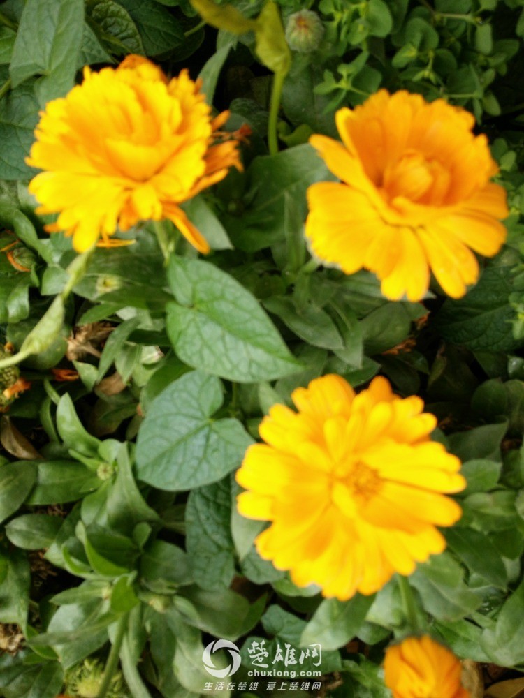 IMG20160325102837.jpg