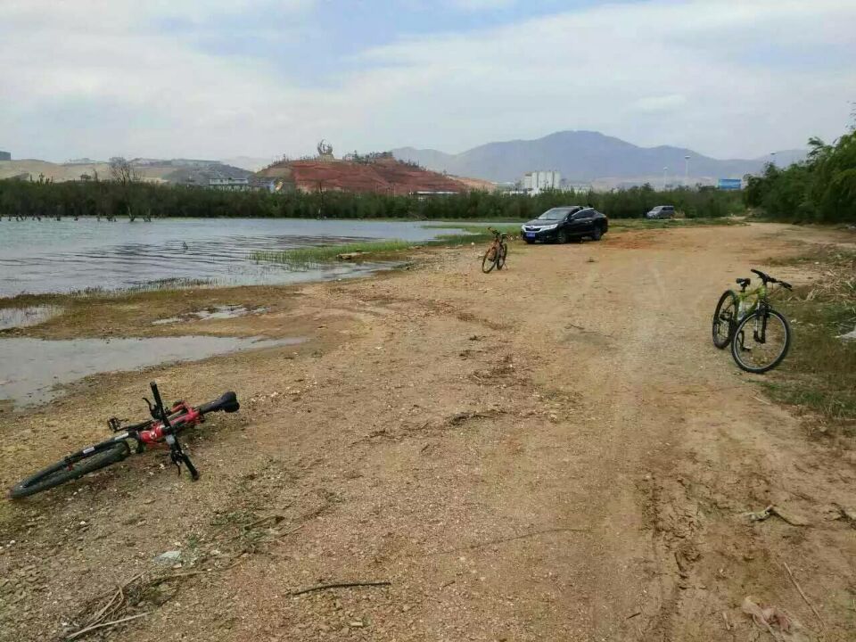 QQ图片20160503153656.jpg