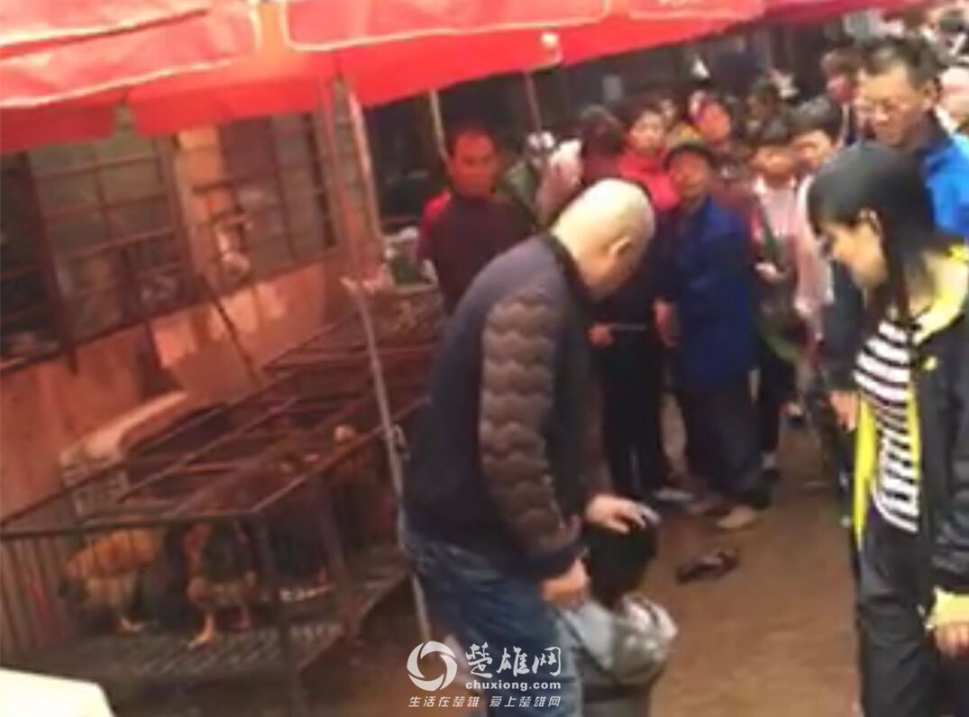 QQ图片20160525142617_副本.jpg