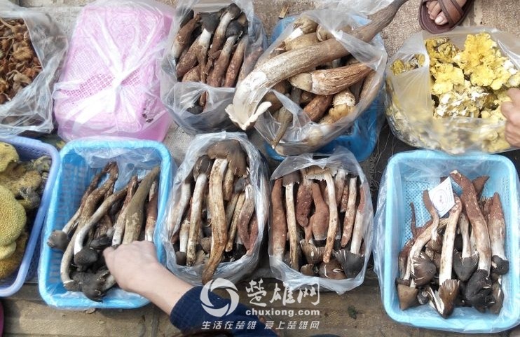 QQ图片20160526113119.jpg